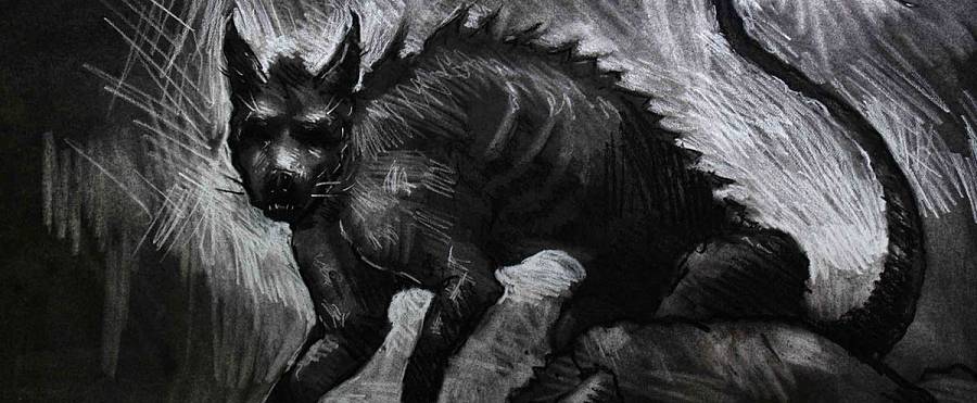 В поисках муромской чупакабры