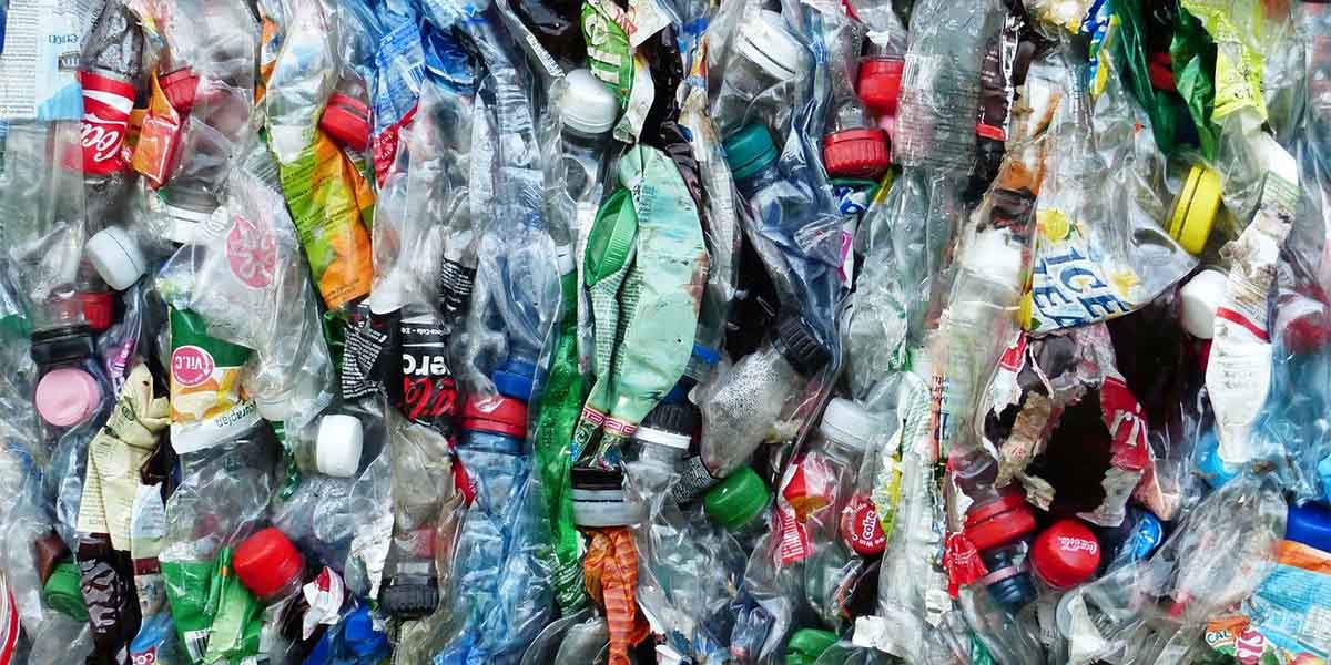 Инсталляция из мусора и треш-челлендж: владимирцы защищают экологию