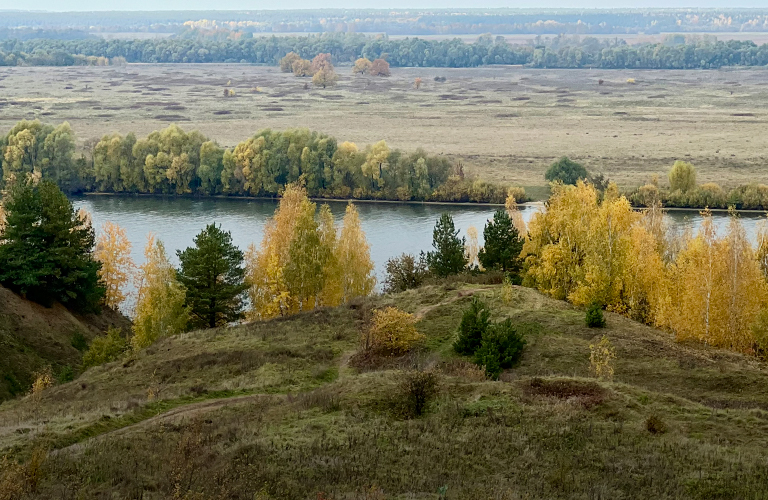 «Страна березового ситца»: неторопливая прогулка по родной земле Сергея Есенина