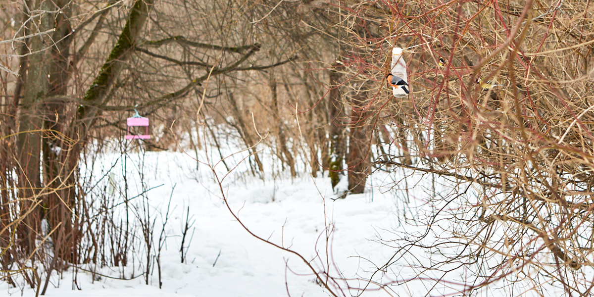 Вместо белой шубки — зеленое пальто. Смена погодного гардероба во Владимирской области