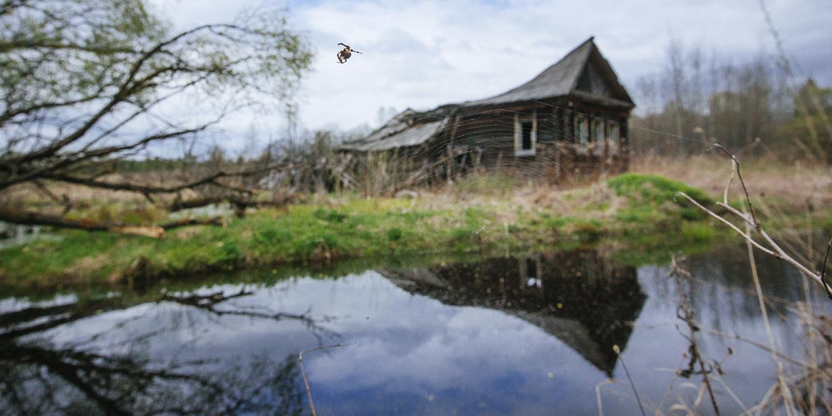 Милиново: село-призрак в Ковровском районе, где уже 30 лет никто не живет