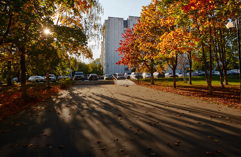 Отгуливаем последние погожие дни. На горизонте смена климатических сезонов