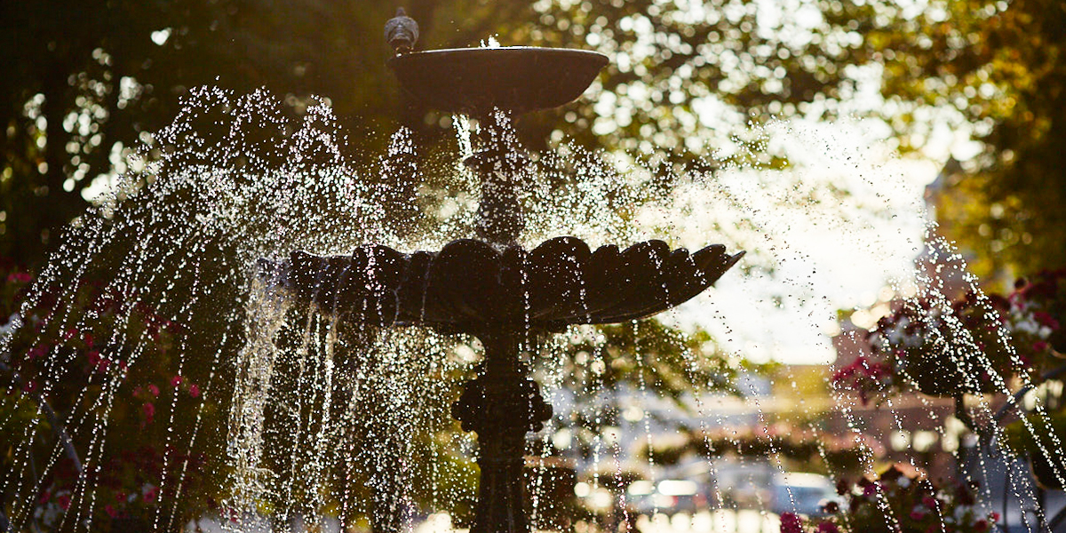 Фонтан-путешественник или возмутитель спокойствия? Необычные амплуа водных конструкций Владимира