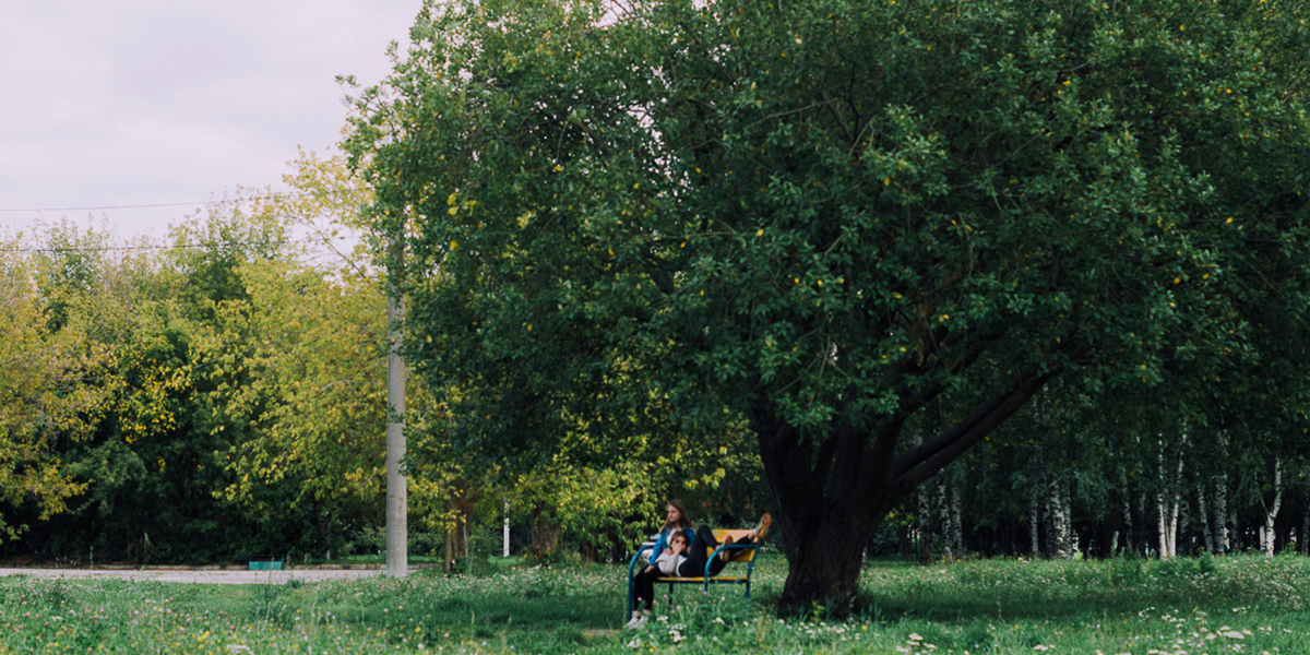 План реновации парка «Добросельский»: спилят деревья, но оборудуют дог-парк
