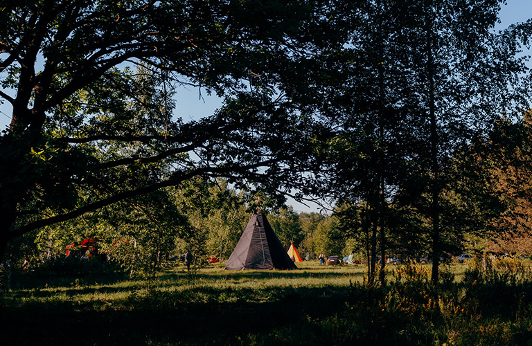 «GP Psyberry»: электронная музыка, любовь к природе и духовное развитие