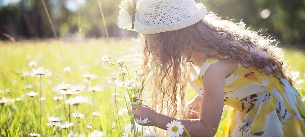 Знакомимся с детским лагерем в Доброграде
