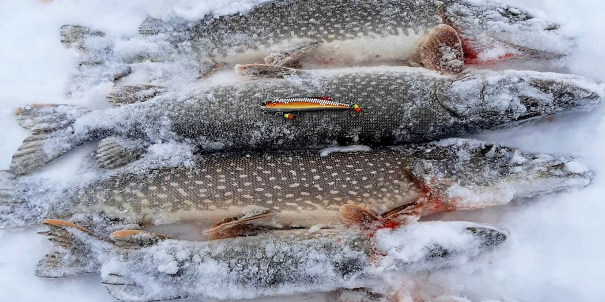 Особенности зимней охоты и рыбалки: важные нюансы и советы местных знатоков