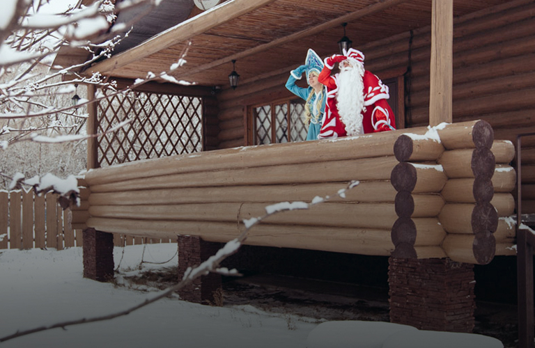 Услуги Дед Мороза и Снегурочки во Владимире подорожали, зато появился удаленный эконом-вариант