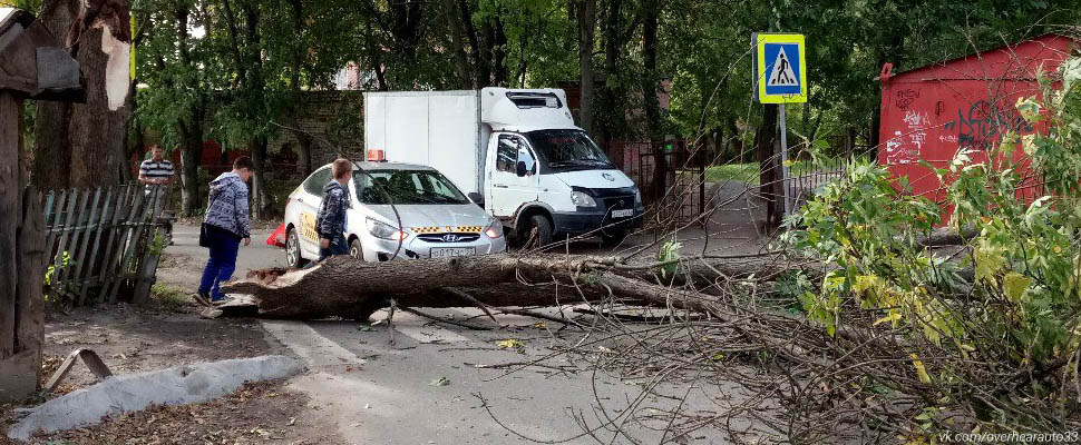 Ураган во Владимире: с кого требовать компенсацию за упавшее на авто дерево