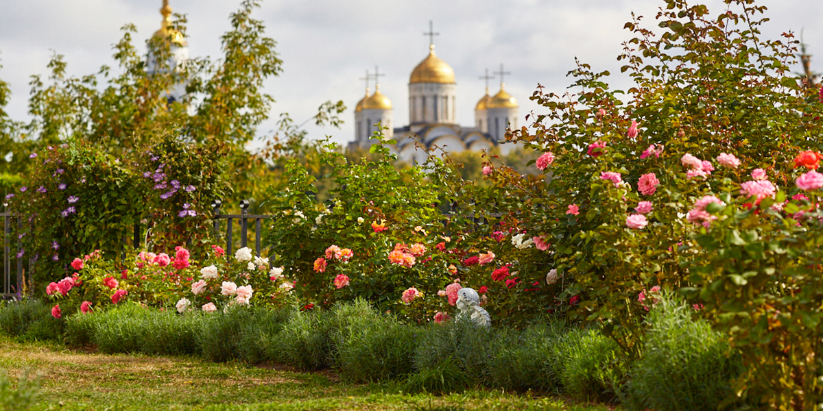 Золотая осень во Владимирской области будет, но не сразу