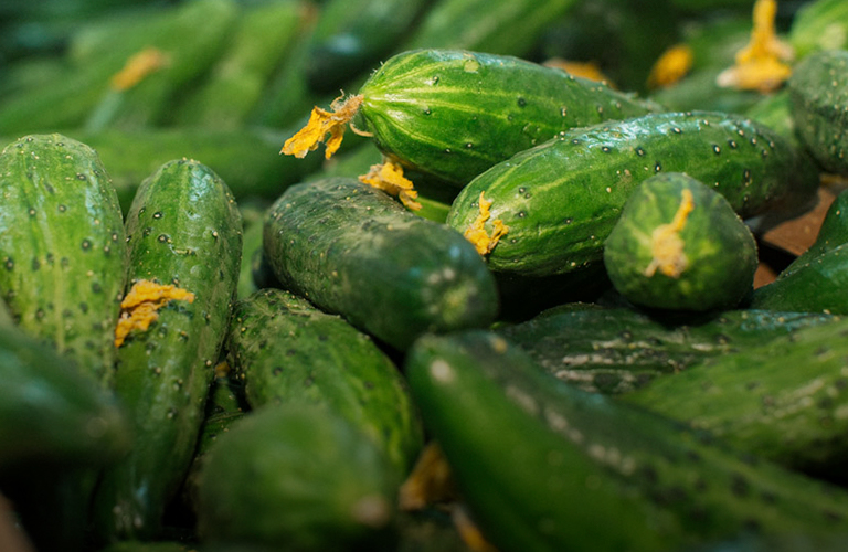 Пупырчатый деликатес, или В каких городах 33-го региона самые бешеные цены на огурцы и другие продукты