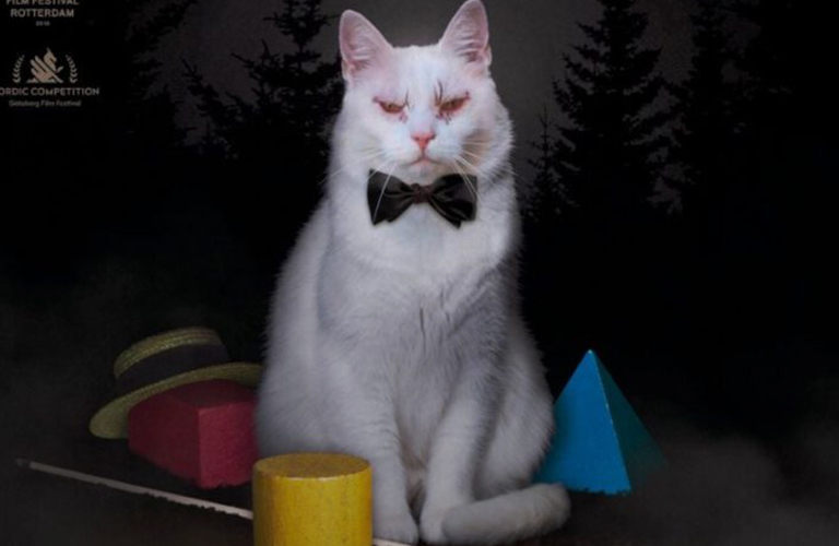 Хоррор «Коко-ди Коко-да»