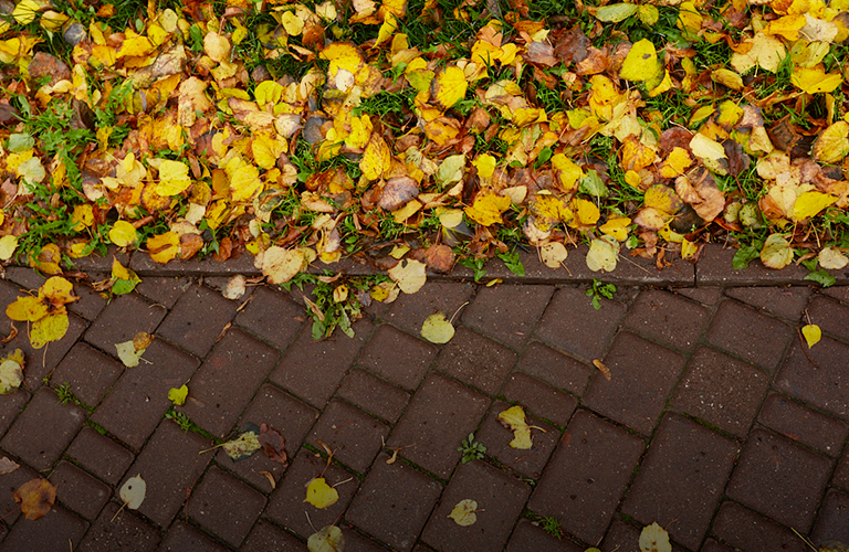 Октябрь уходит с улыбкой: последняя декада нарисует на градусниках двузначные цифры