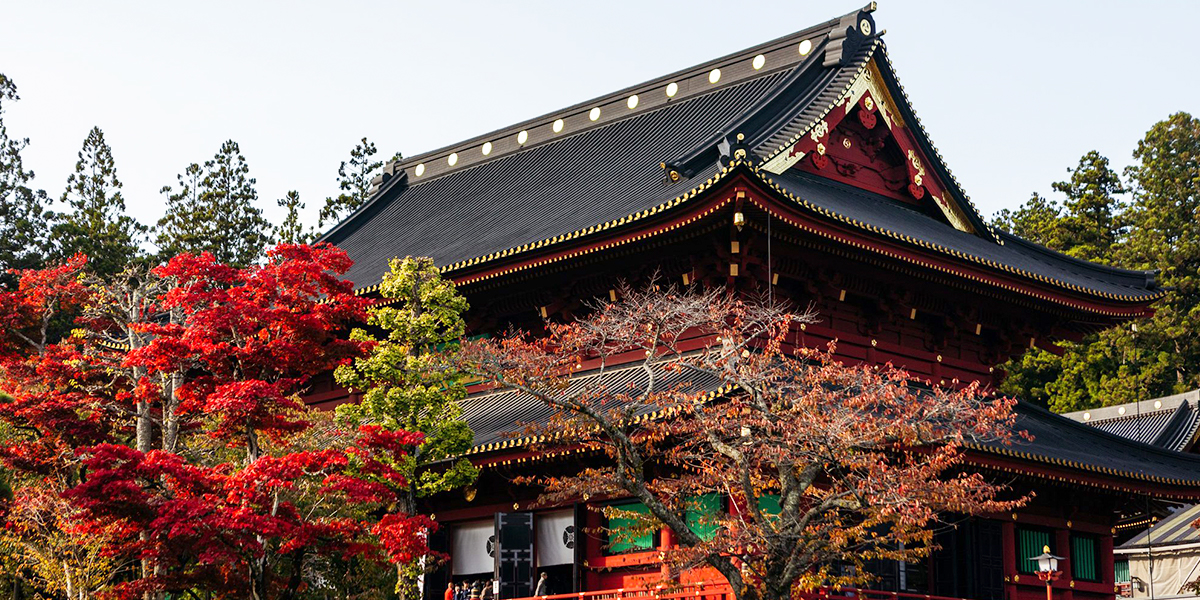 «Золотой треугольник» Японии в палитре красных клёнов — эстетика сезона момидзи