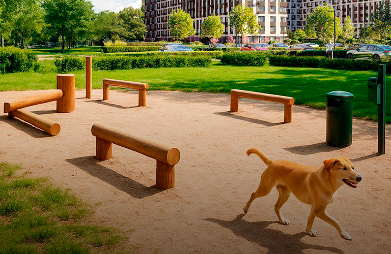 Во Владимире появится первый отдельный бульвар для выгула собак!