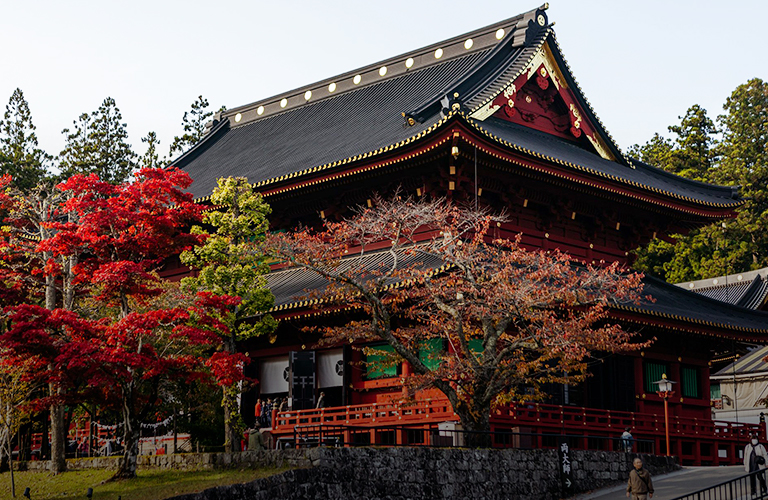 «Золотой треугольник» Японии в палитре красных клёнов — эстетика сезона момидзи