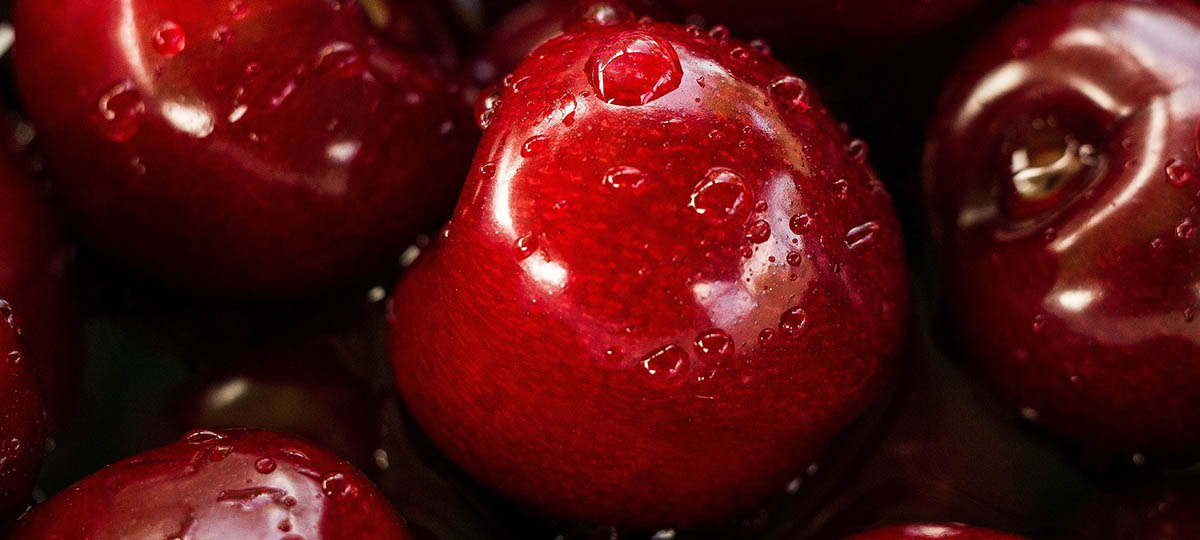 Праздничное шествие в центре Владимира