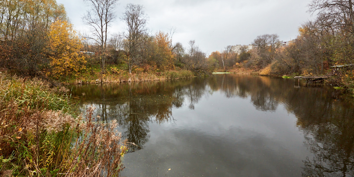 «Осень тихой сапой наступает». Синоптик Евгений Тишковец рассказал, стоит ли ждать первого снега