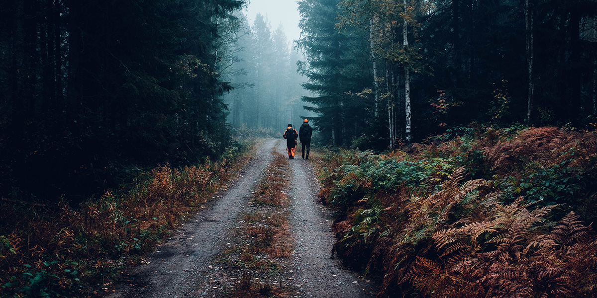 Первый охотничий фестиваль: парад собак и джигитовка