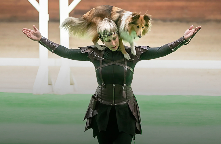 Пушистый дракон и его хозяйка в роли охотника победили на Кубке России по танцам с собаками