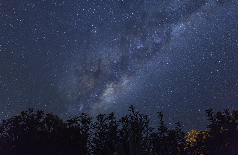 О чем поговорят в звездном доме?