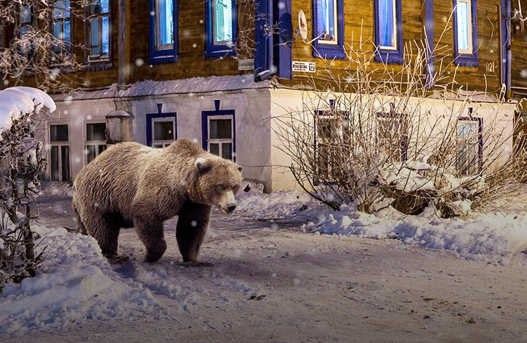 Владимирская нереальность с медведями и драконами от Игоря Музалевского