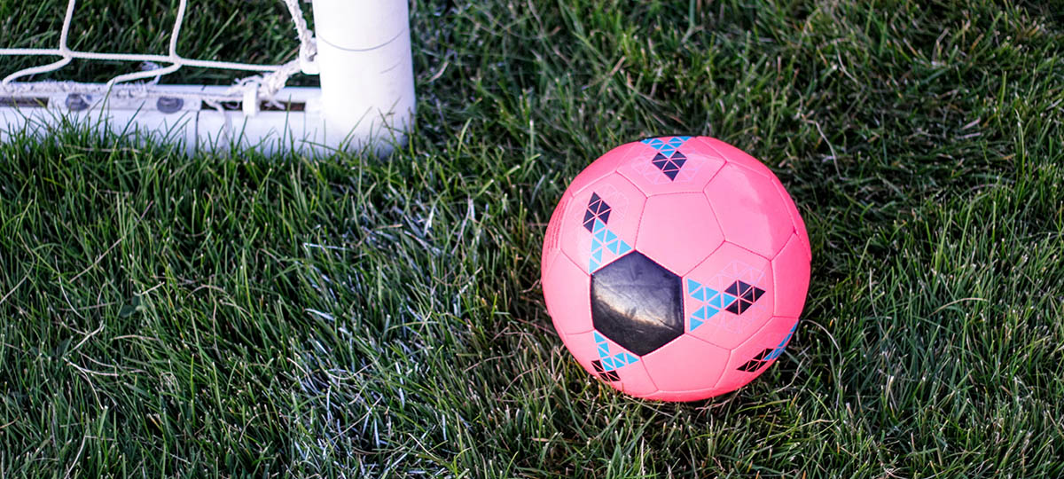 Активные выходные в парке «Дружба»