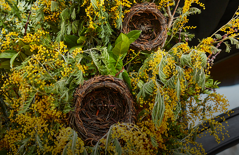 От лекций по раскрепощению до мимозы: как раньше во Владимире отмечали 8 Марта?