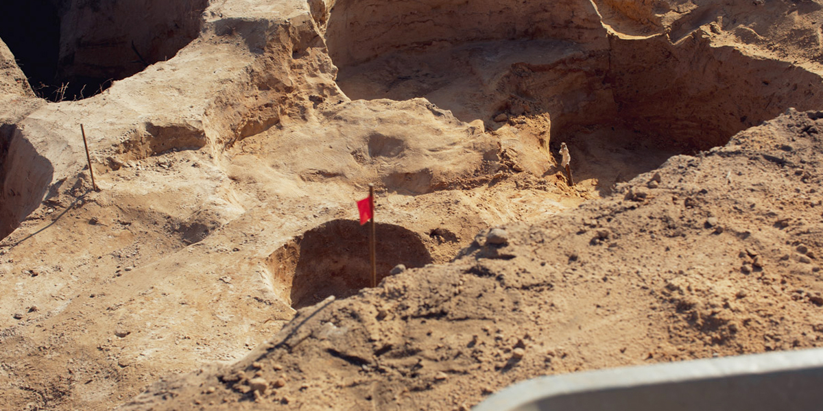 На месте стоянки Сунгирь может появиться археологический экопарк