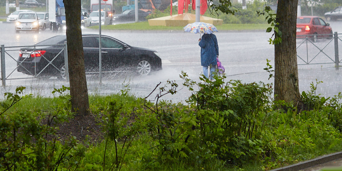 Смена погодного курса: дождливый август установил в 33-м регионе свои правила