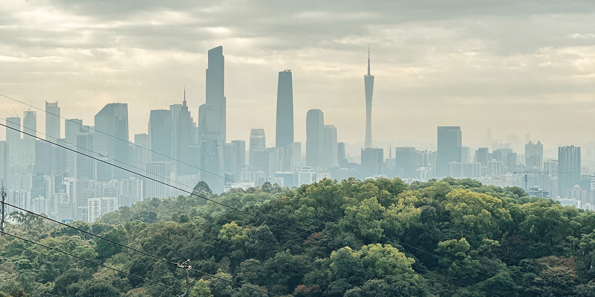 «Китай напоминает мне Казахстан»: выводы владимирского психолога после года жизни в Азии