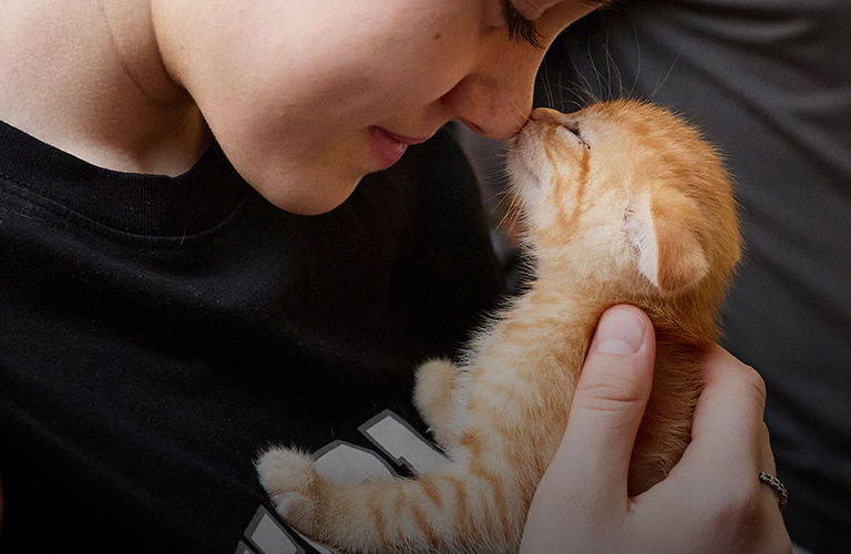 Разрыв сердечка. Во владимирском доброцентре организовали выставку пушистой малышни