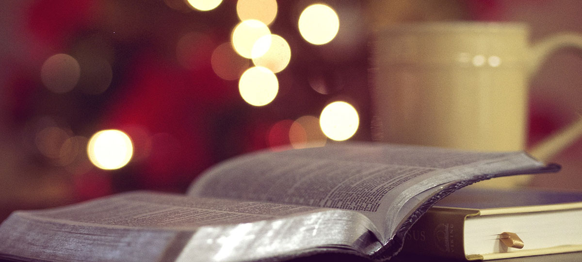 День рождения проекта «Поэт и ...». Приглашены все!