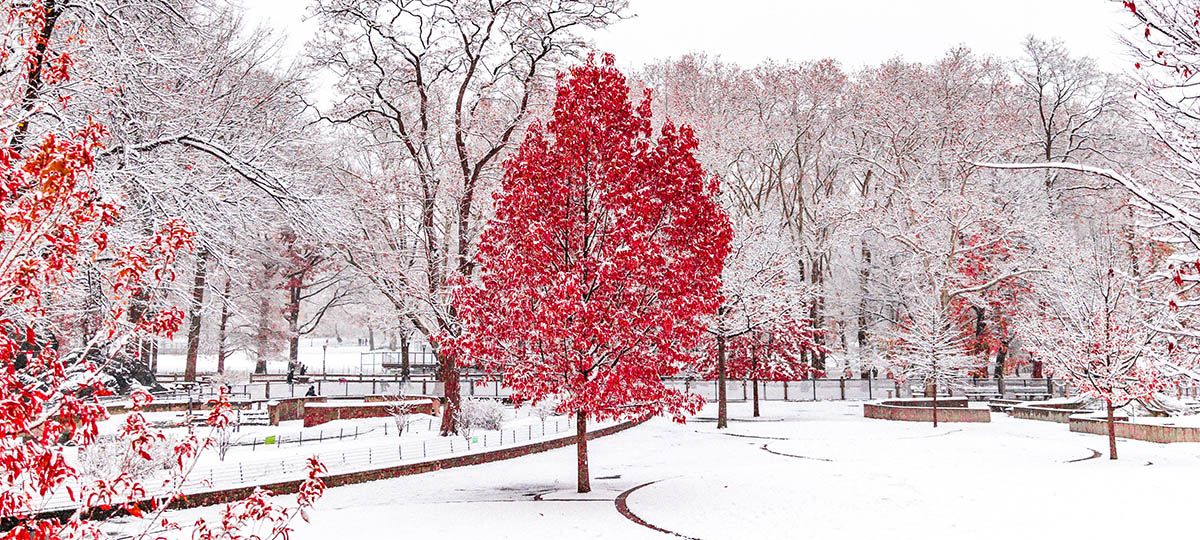 Оцените «Тот момент, когда...»