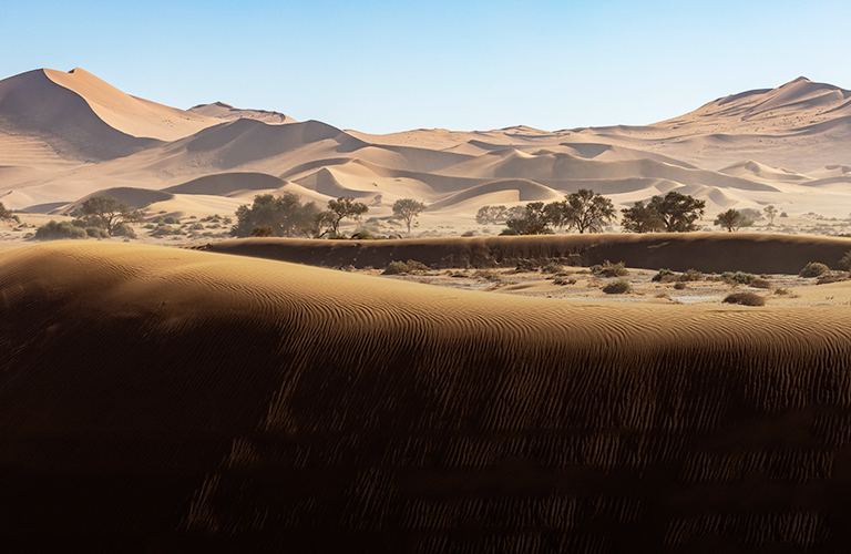 7000 км за рулем автомобиля — владимирские туристы посетили ЮАР, Ботсвану, Намибию и Зимбабве