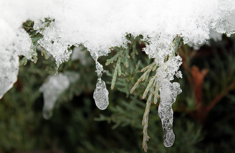 Неожиданное завершение зимы: аномальные морозы сменятся рекордной оттепелью