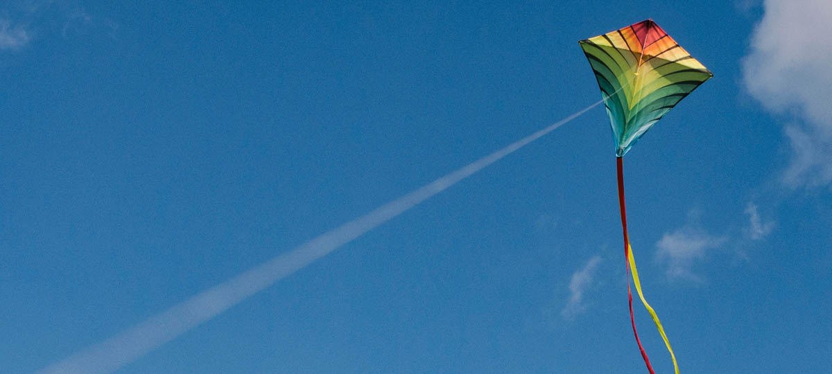 Фестиваль воздушных змеев