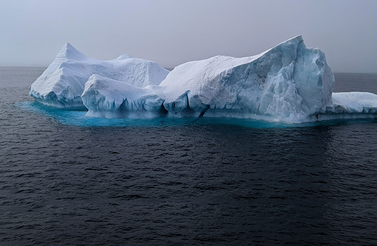 Экспедиция на Северный полюс – жительница Владимира искупалась в проруби у кормы ледокола