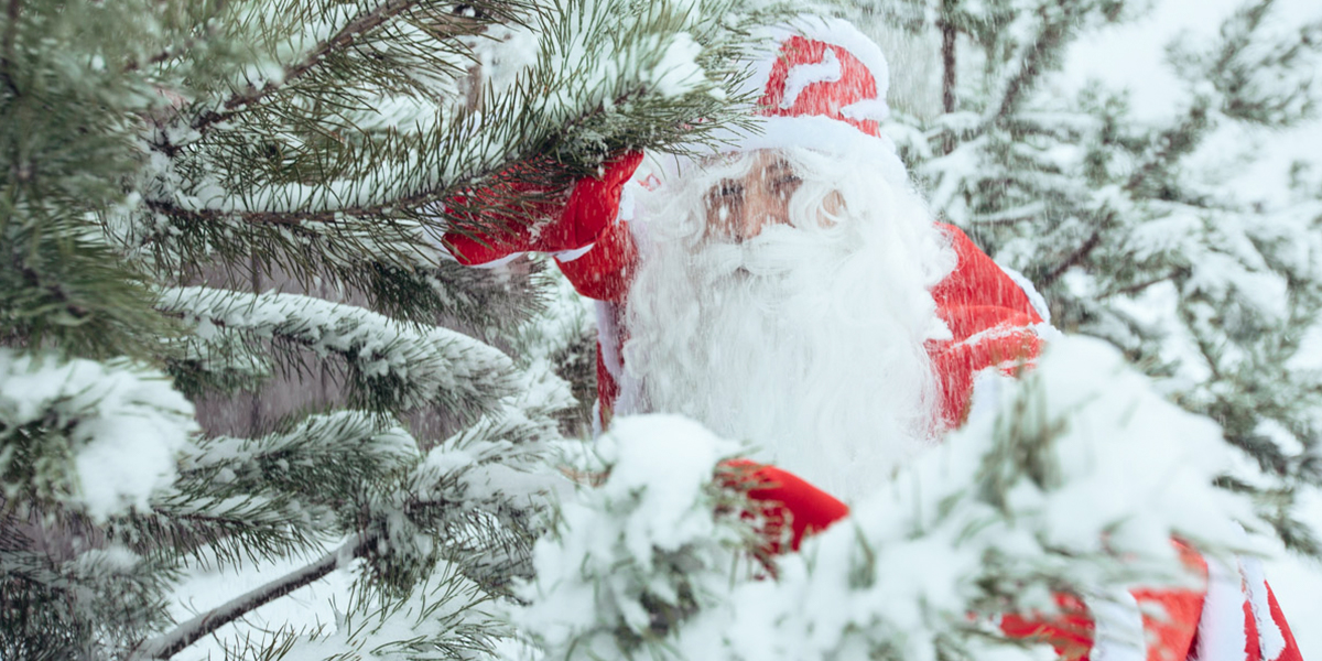 На открытие праздника «Суздаль — новогодняя столица» приедет Дед Мороз из Великого Устюга