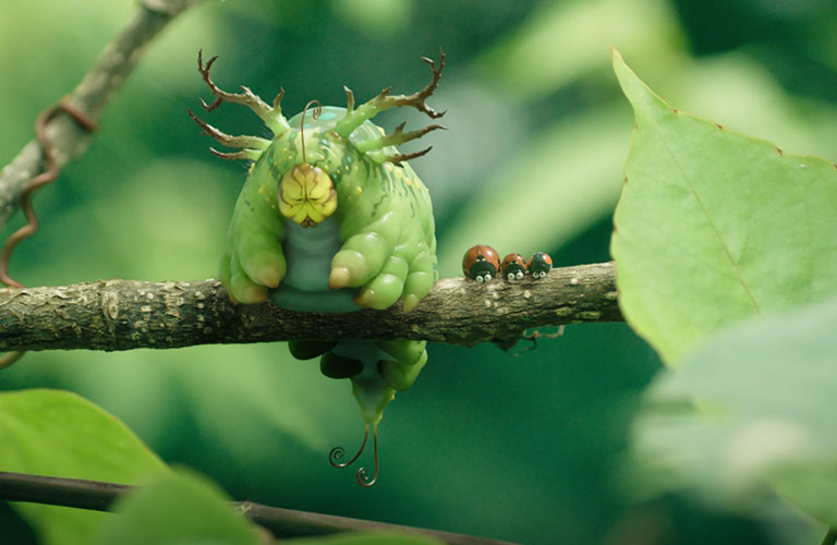 Анимация «Букашки-2»