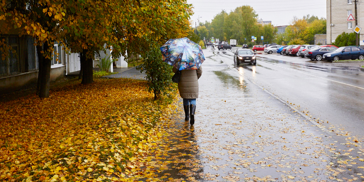 Не по сезону холодная и ненастная погода: в 33-м регионе хозяйничает циклон «Герхард»