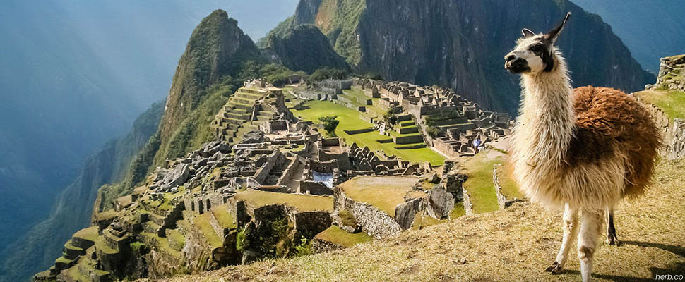 Рассказ о Перу в «Свободном пространстве»