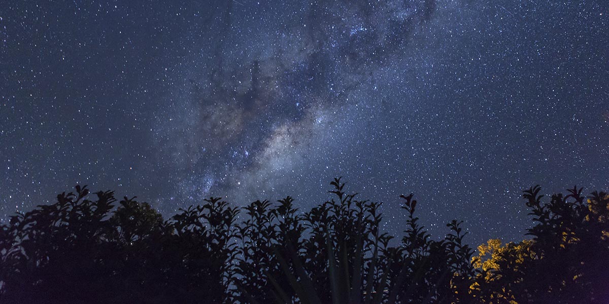 О чем поговорят в звездном доме?