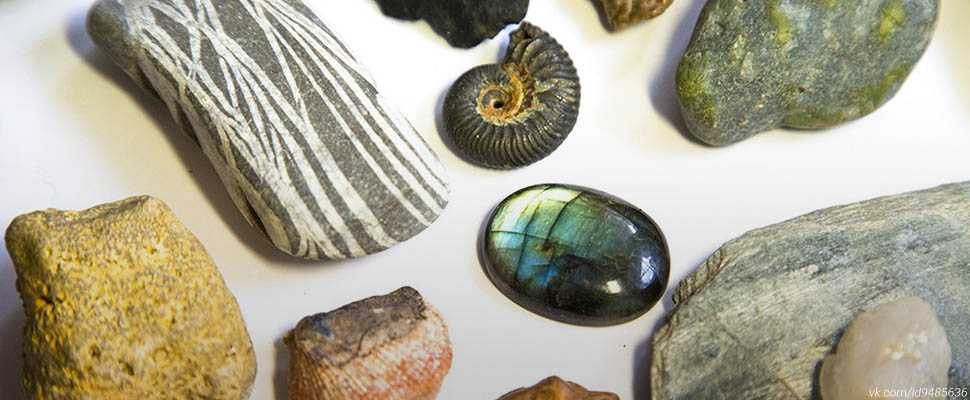 Время собирать камни: необычные сувениры Александра Жежера