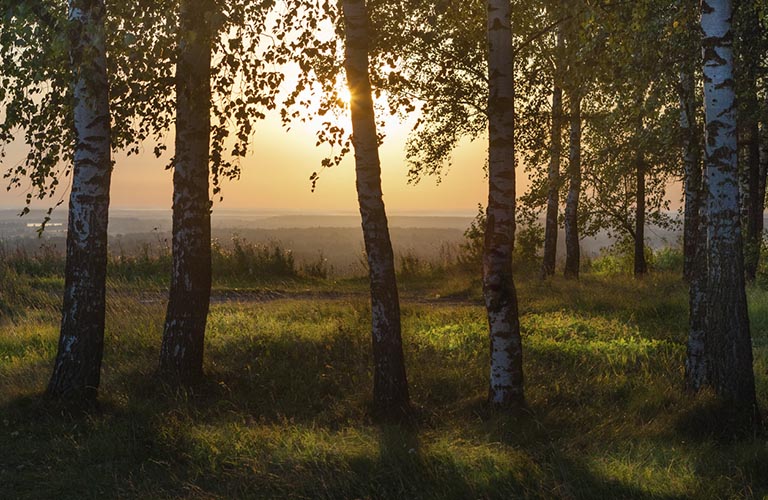 6 самых красивых деревень Владимирской области. Какая дополнит список?