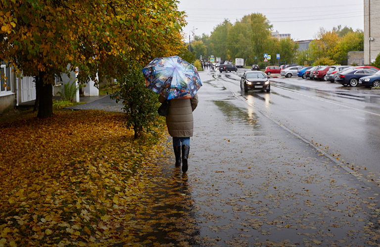 Не по сезону холодная и ненастная погода: в 33-м регионе хозяйничает циклон «Герхард»