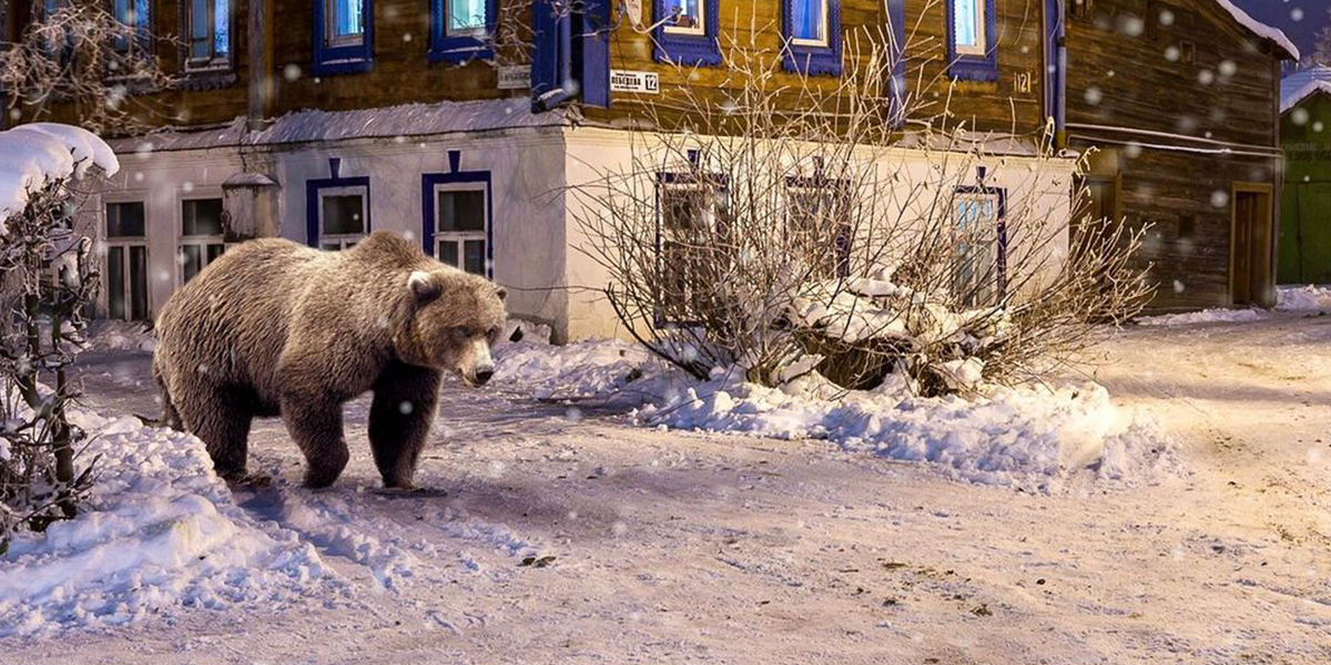 Владимирская нереальность с медведями и драконами от Игоря Музалевского