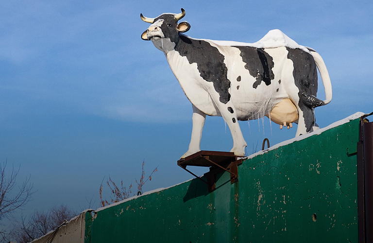 Кот Баюн, симпатяга бобр и корова на заборе: рукотворный «Зверополис» на улицах Владимира