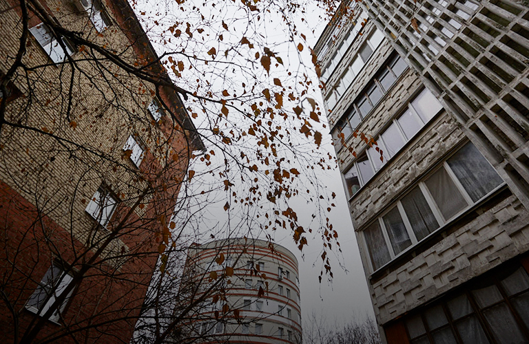 Бури не миновать: в преддверии ноября Владимирскую область накроет длительный геошторм