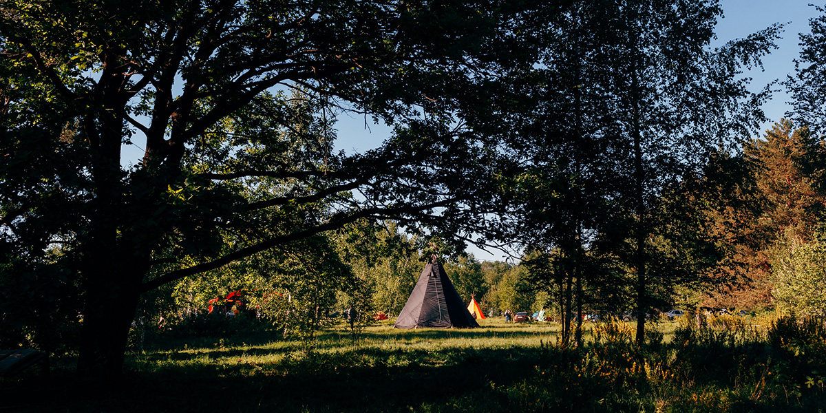 «GP Psyberry»: электронная музыка, любовь к природе и духовное развитие